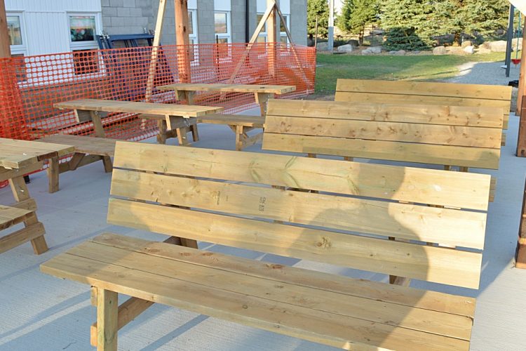 convertible picnic table bench