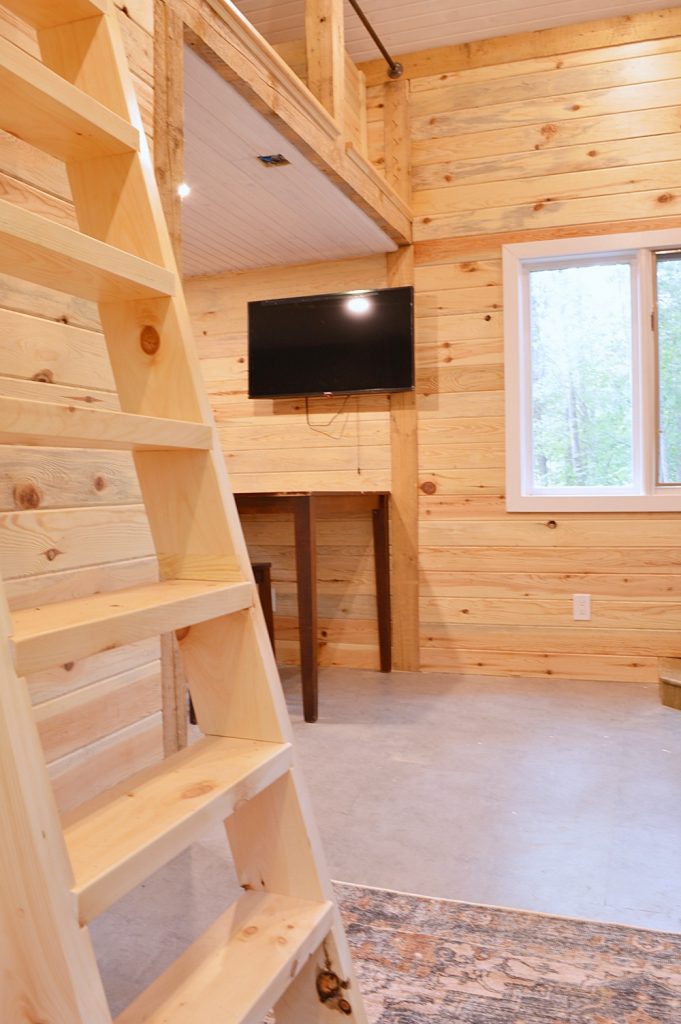 Tiny cabin ladder