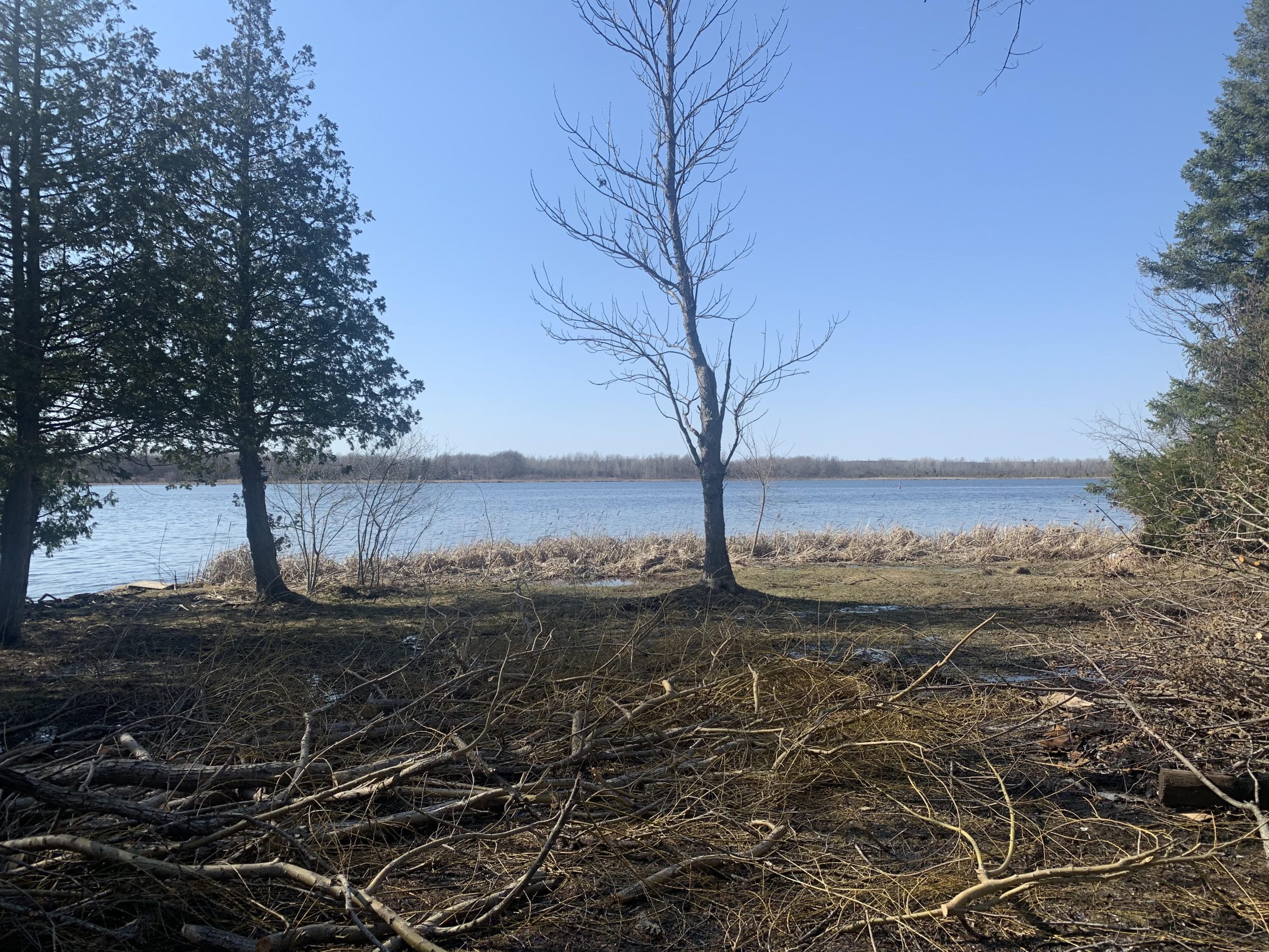 Waterfront lot for a tiny cabin